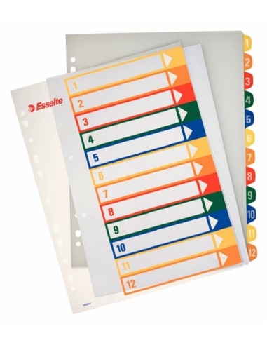 Esselte Indices Proyectos Imprimibles A4 Maxi PP Tipo 1-12 Multicolor Material PP Rigido 300 Micras Portada 350 Micras