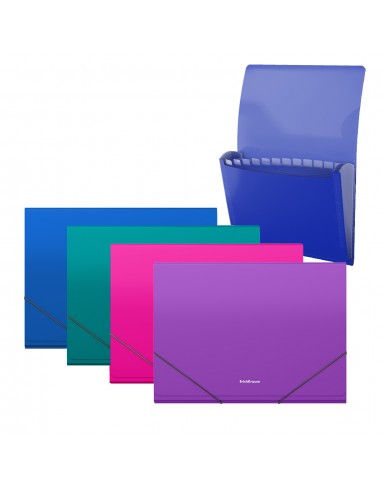 Erichkrause Pack de 4 Clasificadores Matt Vivid - 12 Fundas - Tamaño A4 - Colores Surtidos