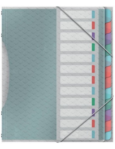 Esselte Colour'Breeze Clasificador con 12 Pestañas Multicolor - Para Formato A4 - 3 Solapas en la Contraportada -