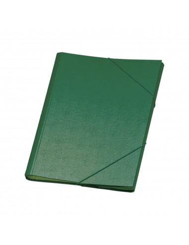 Dohe Carpeta Clasificadora 12 Departamentos - Formato Folio - Carton Plastificado - Cierre con Gomas - Color Verde