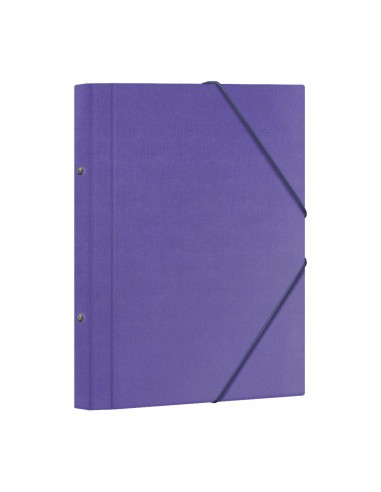 Dohe Carpeta Clasificadora 12 Departamentos - Formato Folio - Carton Plastificado - Cierre con Gomas - Color Morado