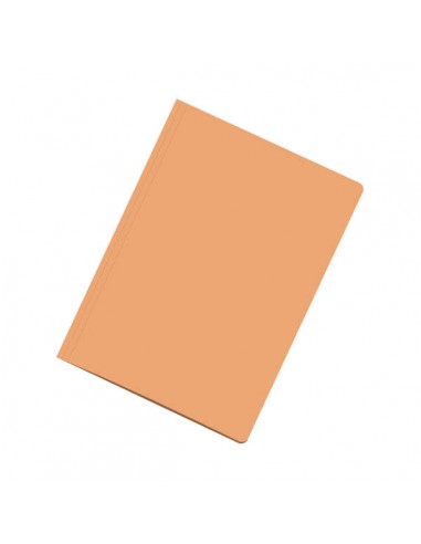 Dohe Subcarpetas Fabricadas en Cartulina de 180gr - con Ranura para Fastener - Ideal para Organizar Documentos