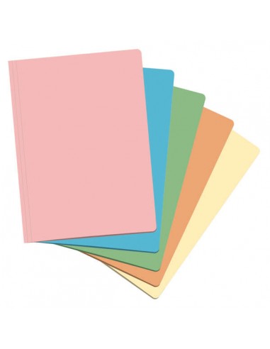 Dohe Subcarpetas Fabricadas en Cartulina de 180gr - con Ranura para Fastener - Resistente y Duradera - Ideal para Organizar
