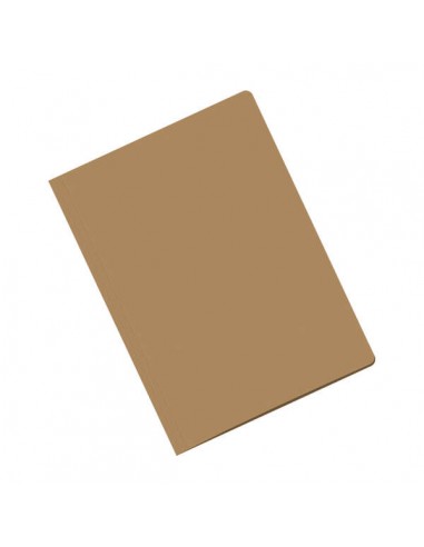 Dohe Subcarpetas Fabricadas en Cartulina de 170gr - con Ranura para Fastener - Resistente y Duradera