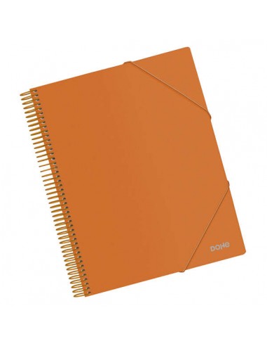Dohe Carpeta con 30 Fundas Tamaño A4 - Tapa de Polipropileno Opaco 800 Micras - Fundas Transparentes 80 Micras - Espiral de