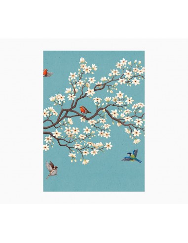 Pictura Cuaderno A5 - 15x21cm - 48 Paginas con Lineas - Papel con Certificacion FSC