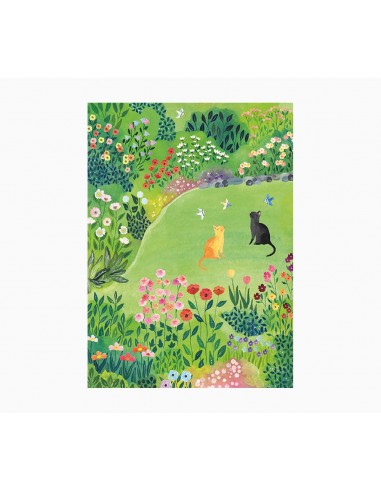 Pictura Cuaderno A5 - 15x21cm - 48 Paginas con Lineas - Papel con Certificacion FSC