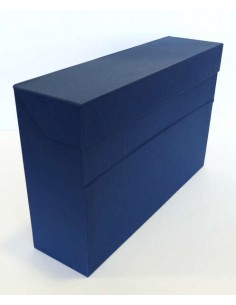 Elba Caja de Transferencia Resistente 39.6x25.4cm - Tapa con Cierre de Presion - Asa Ergonomica para Transporte Facil -