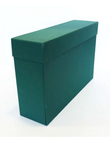 Elba Caja de Transferencia Resistente 39.6x25.4cm - con Tapa de Cierre Seguro - Ideal para Archivar Documentos - Resistente y