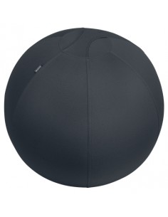 Leitz Ergo Active Balon de Asiento Antideslizante 65cm - Asa de Transporte Resistente - Carga Maxima de 150kg - Funda Lavable