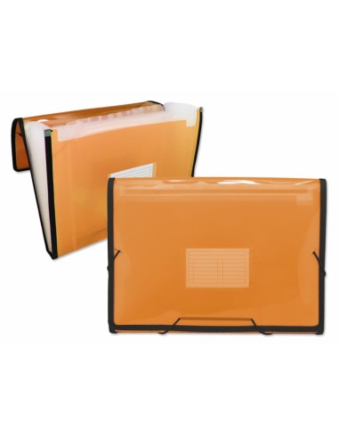 Ingraf Carpeta Frame Fuelle 13 Bolsillos - Polipropileno Translucido - con Gomas y Solapas - Tamaño A4