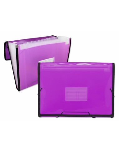 Ingraf Carpeta Frame Fuelle 13 Bolsillos - Polipropileno Translucido - Gomas y Solapas - Tamaño A4