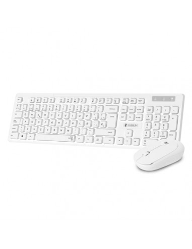 TECLADO Y RATON SUBBLIM BUSINESS INALAM