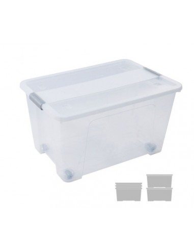 CAJA ALMACENAMIENTO A.2000 52L PP TRANS.