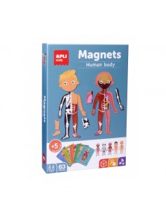 Apli Juego Magnetico del Cuerpo Humano - 1 Escenario Imantado 28 x 18 cm - 63 Fichas con Partes del Cupoer Humano