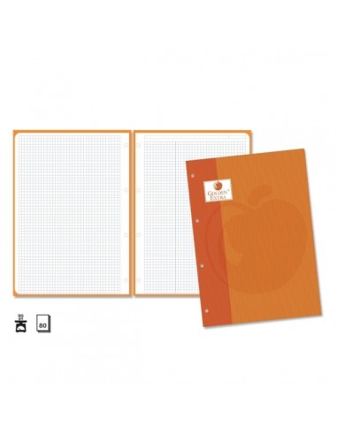 Golden Extra Recambio de 80 Hojas 90gr Cuadricula 4x4 - Formato A4 - 4 Taladros y Banda de Color Naranja