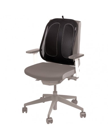 Fellowes Mesh Office Suites Cojin Lumbar - Material de Malla - Ajustable a Cualquier Silla - Color Negro