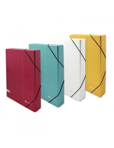 Bismark Carpeta para Proyectos - Medidas 350x230x30mm - Fabricada en Carton - Cierre con Gomas - Colores Surtidos