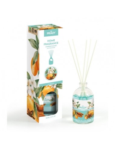 Prady Ambientador Mikado Karma - Frasco de Cristal 100 ml y Varitas Difusoras