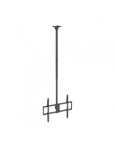 Aisens Soporte de Techo Pro Giratorio - Inclinable-Extensible y Nivelable - De 50" a 100" - Peso Maximo 80Kg - VESA Maximo
