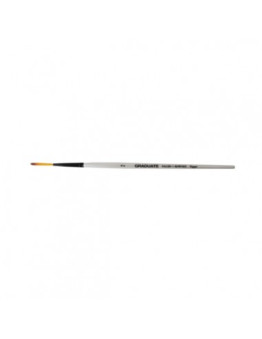 Daler Rowney Graduate Pincel Acuarela - Pelo Sintetico - Mango Corto - Liner Extra Largo NÂ 2