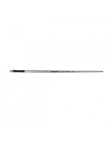 Daler Rowney Graduate Pincel para Oleo - Pelo de Cerda Natural - Mango Largo - Bright - NÂ° 2
