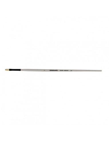 Daler Rowney Graduate Pincel para Oleo - Pelo de Cerda Natural - Mango Largo - Plano- NÂ°1
