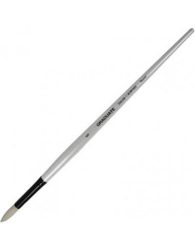 Daler Rowney Graduate Pincel para Oleo - Pelo de Cerda Natural - Mango Largo - Redondo - NÂ°6