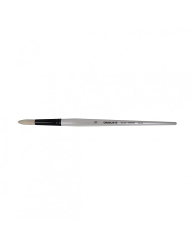Daler Rowney Graduate Pincel para Oleo - Pelo de Cerda Natural - Mango Largo - Redondo - NÂ°10