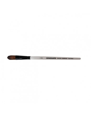 Daler Rowney Graduate Pincel Acuarela - Mezcla de Pelo de Pony y Sintetico - Mango Corto - Oval Lavis 1 2"