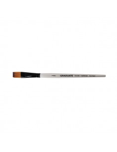 Daler Rowney Graduate Pincel Multitecnica - Pelo Sintetico - Mango Corto - Plano Lavis 1 2"