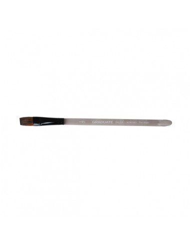Daler Rowney Graduate Pincel Acuarela - Mezcla de Pelo de Pony y Sintetico - Mango Corto - Plano Lavis 1 2"