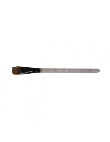 Daler Rowney Graduate Pincel Acuarela - Mezcla de Pelo de Pony y Sintetico - Mango Corto - Plano Lavis 3 4"