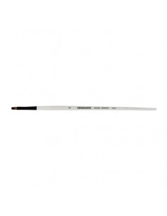 Daler Rowney Graduate Pincel Multitecnica - Pelo Sintetico - Mango Largo - Bright NÂ 6