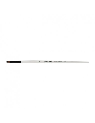 Daler Rowney Graduate Pincel Multitecnica - Pelo Sintetico - Mango Largo - Bright NÂ 6