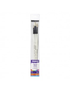 Daler Rowney Graduate Pack de 3 Pinceles para Oleo - Pelo de Cerda Natural - Mango Largo