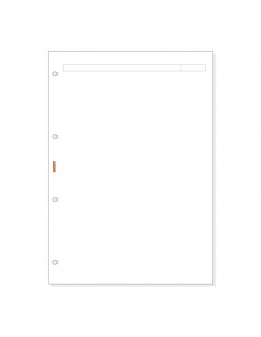Finocam R4042 Recambio para Agendas Open - Formato A4 - 210x5x297mm - Color Blanco
