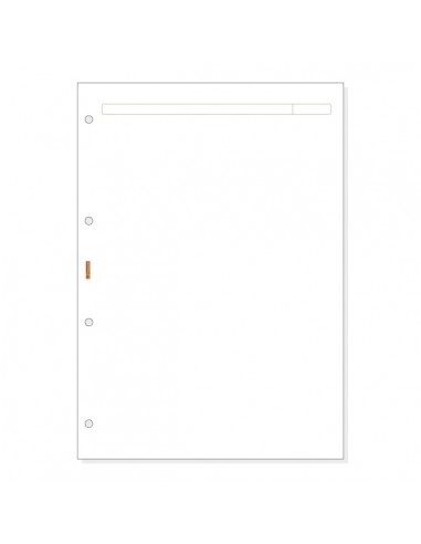 Finocam R4042 Recambio para Agendas Open - Formato A4 - 210x5x297mm - Color Blanco