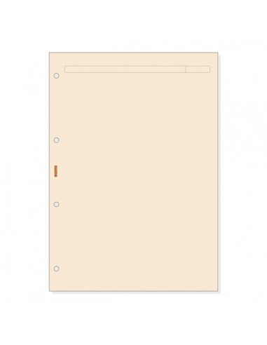 Finocam R4043 Recambio para Agendas Open - Formato A4 - 210x5x297mm - Color Crema