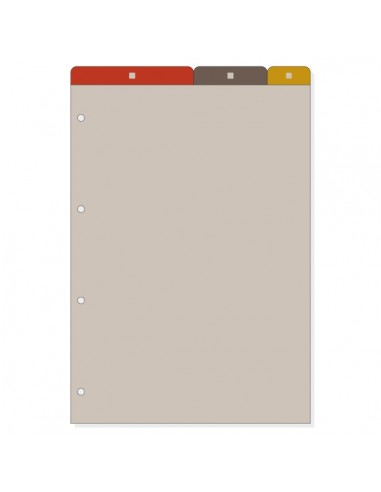 Finocam R4062 Separadores Superiores para Agendas Open - 5 Solapas - Formato A4 - 210x2x307mm - PVC - Color Marron