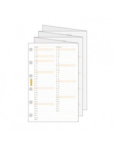 Finocam C296 Planificador de Recambio para Agendas Classic - Anual 2026 - Desplegable - Formato 602 - 73x1x114mm - Color