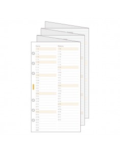 Finocam C996 Planificador de Recambio para Agendas Classic - Anual 2026 - Desplegable - Formato 609 - 94x1x171mm - Color