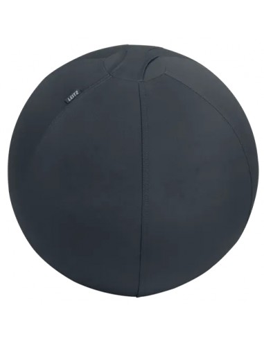 Leitz Ergo Active Balon de Asiento Antideslizante 55cm - Asa de Transporte Resistente - Carga Maxima de 120kg - Funda Lavable