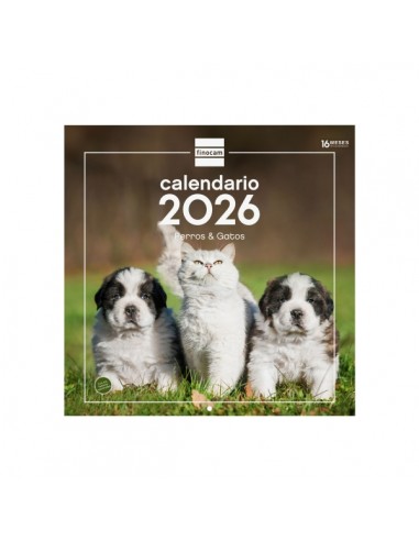 Finocam Calendario de Pared - Anual 2026 - Imagenes Variadas - 300x300mm - Espacio para Escribir - Tematica de Perros y Gatos