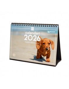 Finocam Calendario de Sobremesa en Catalan - Anual 2026 - Imagenes Variadas - Espacio para Escribir - Tematica de Cachorros