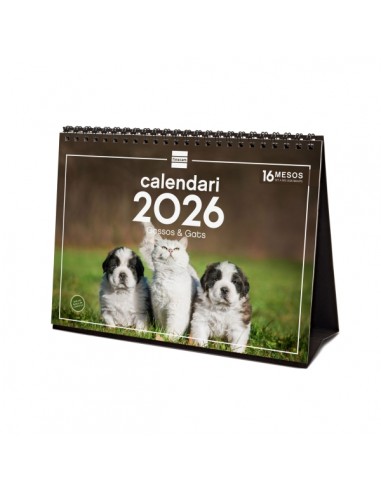 Finocam Calendario de Sobremesa en Catalan - Anual 2026 - Imagenes Variadas - Espacio para Escribir - Tematica de Perros y