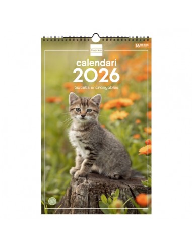 Finocam Calendario de Pared en Catalan - Anual 2026 - Imagenes Variadas - con Espiral - Espacio para Escribir - Tematica de