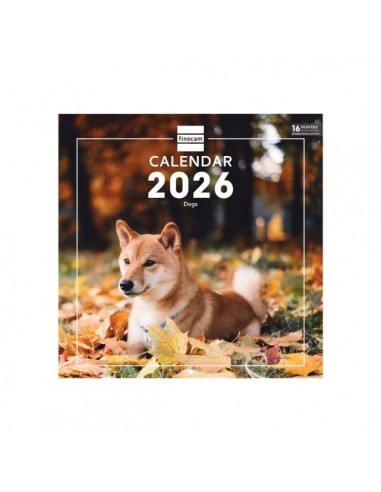 Finocam Calendario de Pared Internacional - Anual 2026 - Imagenes Variadas - 311x5x305mm - Tematica de Perros
