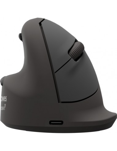 Fellowes Breyta Plus Raton Inalambrico Ergonomico Vertical 2400ppp - TamaÃ±o Grande - BluetoothÂ®-Dongle USB y Conexion