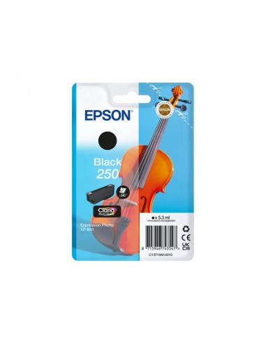 Epson 250 Negro Cartucho de Tinta Original - C13T16N14010